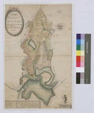 Verjüngte Hauptkarte über die Bronnbacher Markung 1806 (Inselkarte)
