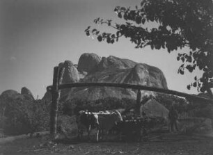 Ochsengespann : Die Taka-Berge bei Kassala. Im Bildvordergrund ein Ochsengespann an einem Brunnen