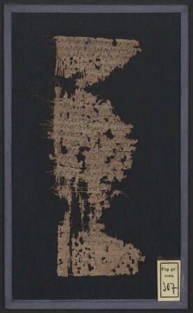 Papyrus - BSB Pap.graec.mon. 307