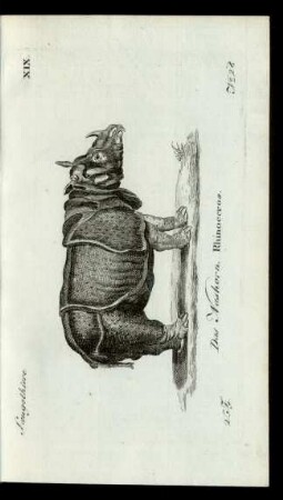 No 28 Das Nashorn. Rhinoceros.