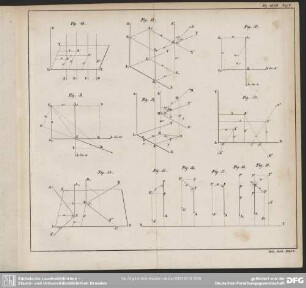 Fig 48-59. Taf: V.