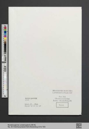 Dessauer, Bernhard