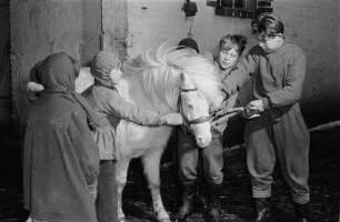 Landflucht. Kinder mit Pony