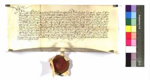 Bürgermeister, Rat und Gemeinde zu Schwäbisch Hall bevollmächtigen den Ratsfreund Mathis von Rinderbach zu ihrer Vertretung in der Kostenklage gegen Michael von Tann vor dem kaiserlichen Kammergericht.