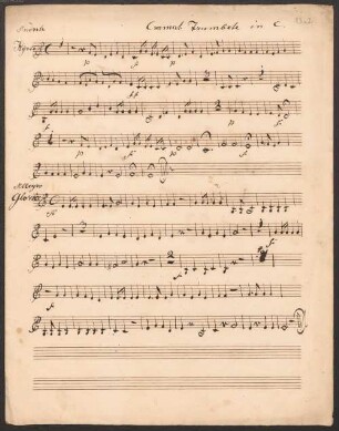 Masses, V (X), orch - Sachrang, Museum Müllner-Peter 13.2 : [without title]