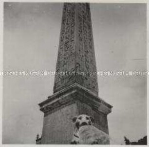 Rom, Piazza del Popolo, Obelisco Flaminio