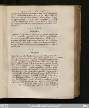 Cap. XXIX. De Bonifacio.