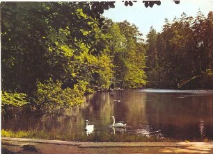 Naturschutzgebiet Donoperteich / Schwene. Detmold. Hiddesen. Papierabzug