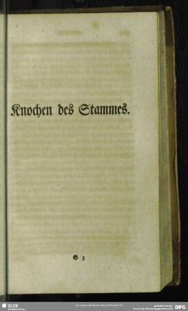 Knochen des Stammes