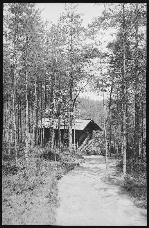 Mühlhausen bei Bad Elster, Im Heimwald des Genesungsheimes