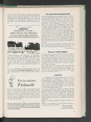 Mahagoni wächst langsam