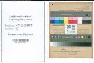 Entnazifizierung Elisabeth Sternemann , geb. 16.05.1901 (Geschaeftsfuehrerin)