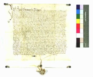 Lehensrevers des Hans Hemmerlin zu Kappel gegen die Gotteshausbruderschaft um deren dortigen Hof.