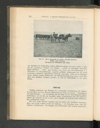 Schlußbetrachtung