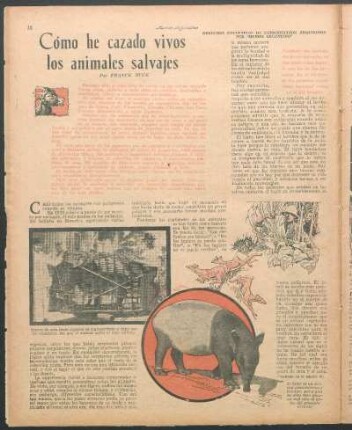 Cómo he cazado vivos los animales salvajes