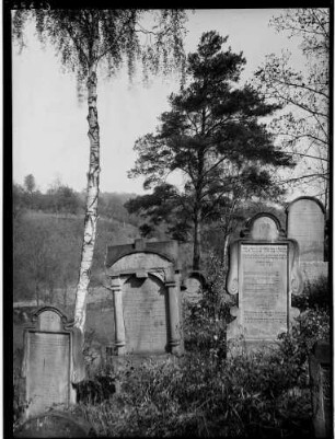 Hemsbach Judenfriedhof Grabsteine
