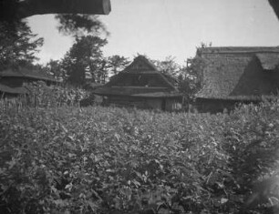 Bauernhaus in Nagaike : Ansicht mit Feld