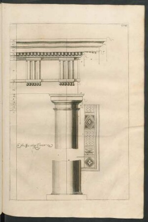 Model deß Marcelli Theatri, Ordine Dorico. - Prophylis von Albano