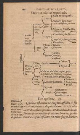 Sequitur tabula Quantitatis.