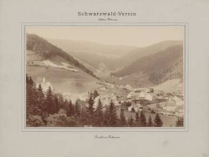 Ansicht von Todtmoos im Hochschwarzwald