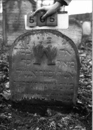 Grabstein 565 (Index: 100115348) Material: Sandstein Zustand: verwittert Maße HxBxT: 72x55x11 cm Beschreibung: Stele mit Rundbogenabschluß Symbolik: Cohanim-Hände: Grabstein 565