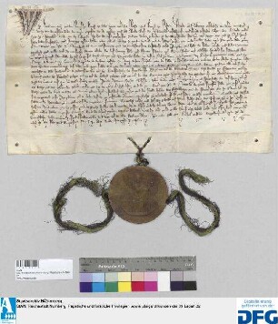 Der römische König Karl (IV.) ("Wir Karel von Gocz gnaden Romyscher kunich, ze allen zeiten merer des reichs vnd kunich ze Peheim") verbietet im Nürnberger Reichswald Kohlen zu brennen, zu scharren, Pech zu sammeln, Glasöfen zu errichten und Wagenholz und "Pu{e}tenholz" darin zu hauen. Zum Entgelt für die dem Reich und dessen Amtleuten im Wald, dem Waldstromer und Forstmeister, entgehenden Einkünfte belehnt er letztern mit zweihundert Morgen Fürreut und dem "Dorneich" bei Ro{e}tenbach gelegen und einem Teil bei Eybach und einem Teil bei des Stromeyrs Weiher gelegen, wie dies alles mit Marksteinen bezeichnet ist. - Siegler: der Aussteller.