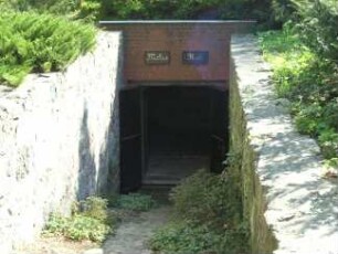 Dagow, Stechlin