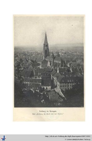 Foto vom Freiburger Münster.