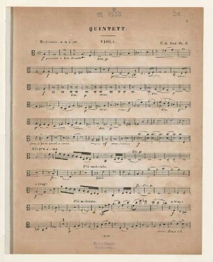 Viola.