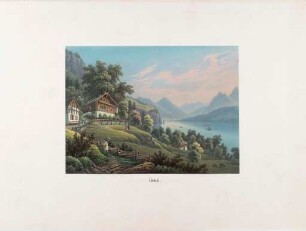 Darstellung der Bergwiese Grütli in der Schweiz