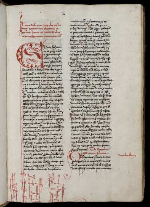 Descriptio Theutoniae, Sueviae et civitatis Ulmensis