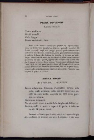 Prima Divisione. Rapaci Diurni.