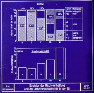Struktur der Milchviehaltung und der Arbeitsproduktivität in der EG