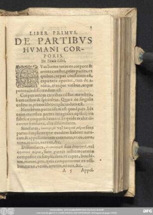 Liber Primus. De Partibus Humani Corporis.