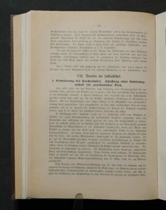 VII. Bauten im Schlachthof.