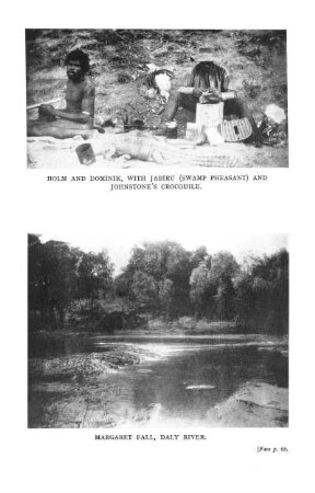 Holm and Dominik with jabiru and Crocodile Margaret Fall, Daly River