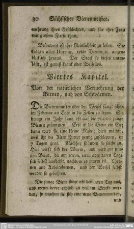 Viertes Kapitel. Von der natürlichen Vermehrung der Bienen, und von Schwärmen