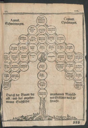 Agnati Schwertmagen. Cognati Spielmagen.