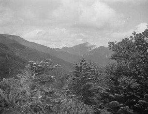 Vegetation im Akaishigebirge : Blick vom Ainodake zum Mount Kaikoma (Kaikoma-ga-take) (2967 m)