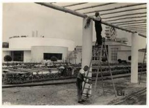 Gartenschau Sommerblumen am Funkturm, Berlin: Vorbereitung und Bepflanzung des Ausstellungsgeländes: Rankpflanzen an der Pergola