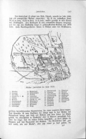46. Tigerfeld