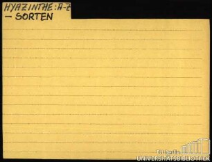 HYAZINTHE: Sorten