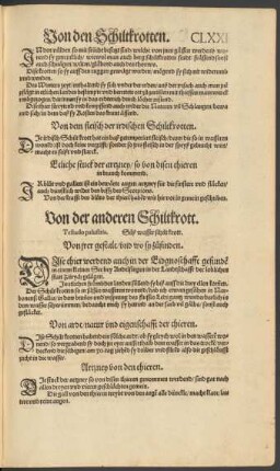 Von der anderen Schiltkrott. Testudo palustris. Süß wasser schilt krott.