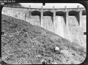 Neustadt/Harz. Talsperre Neustadt (1904-1905). Staumauer. Luftseite (Teilansicht)