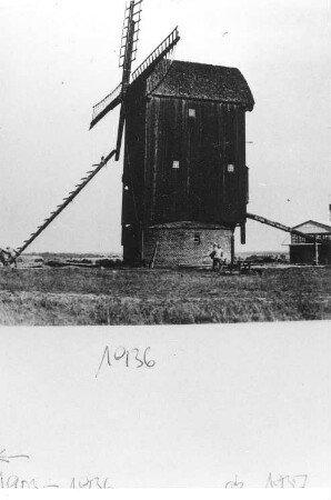 Am Mellensee-Saalow. Paltrockmühle, 1936, Repro