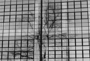 Glasfassade am Bauhaus