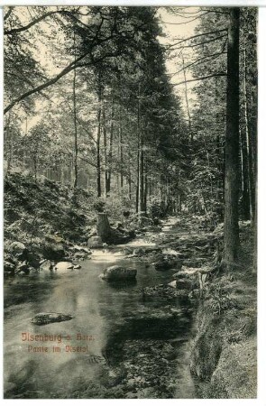 Ilsenburg. Ilsetal