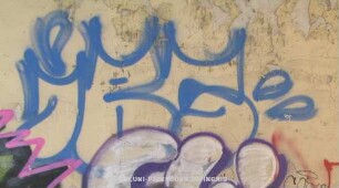 iBS"