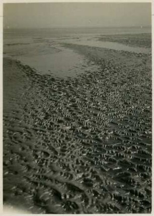 Landschaft im Wattenmeer