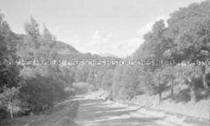 Selbstversenkung des Hochseepassagierdampfers "Columbus" am 19. Dezember 1939, Besatzungsangehörige im Internierungslager auf Angel Island, Kalifornien, leere Landstraße